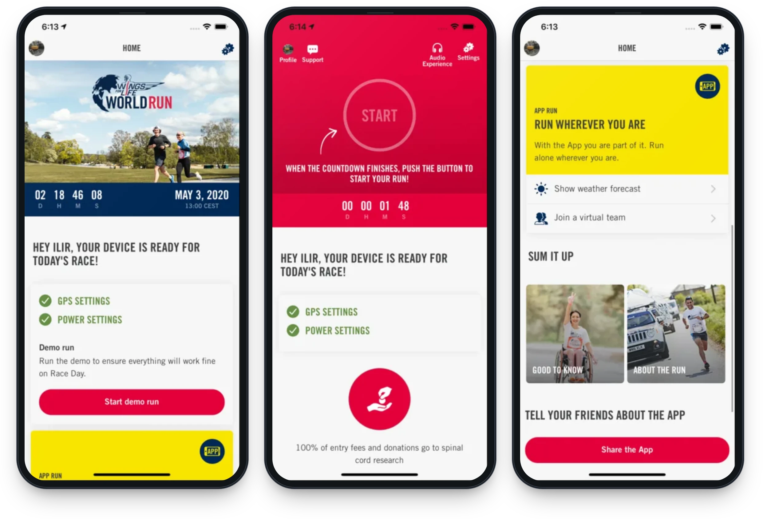 Wings for Life World Run App Overview